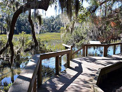 Things To Do The Coastal Discovery Museum at Honey Horn