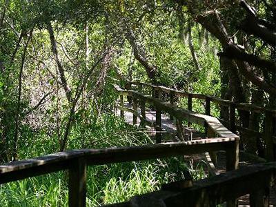 Things To Do Sea Pines Forest Preserve