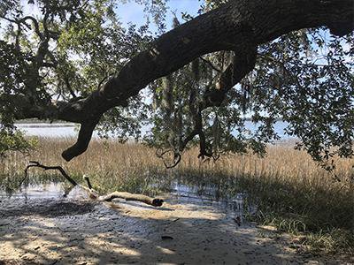 Things To Do Pinckney Island