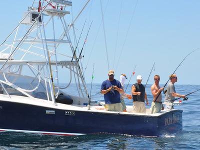 Things To Do Papa Bear Charters