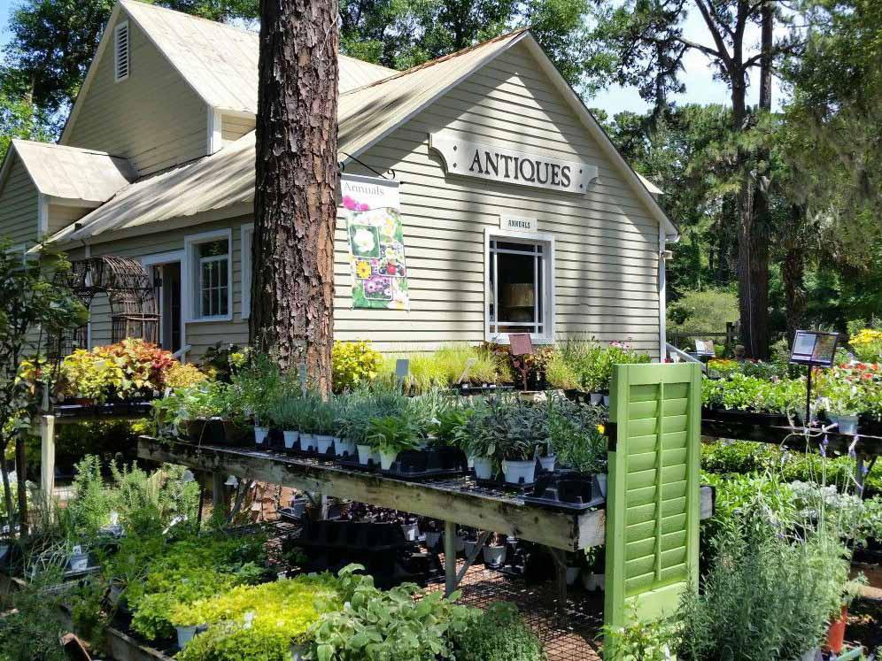 Things To Do The Greenery Antique Shop